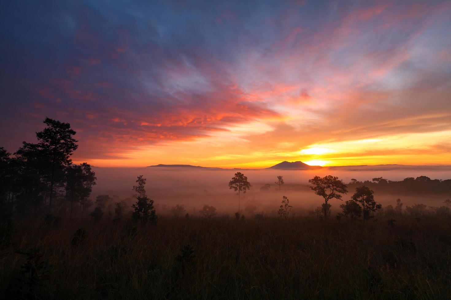 paysage matin lever du soleil au parc national de thung salang luang phetchabun, tung slang luang est une savane herbeuse en thaïlande photo