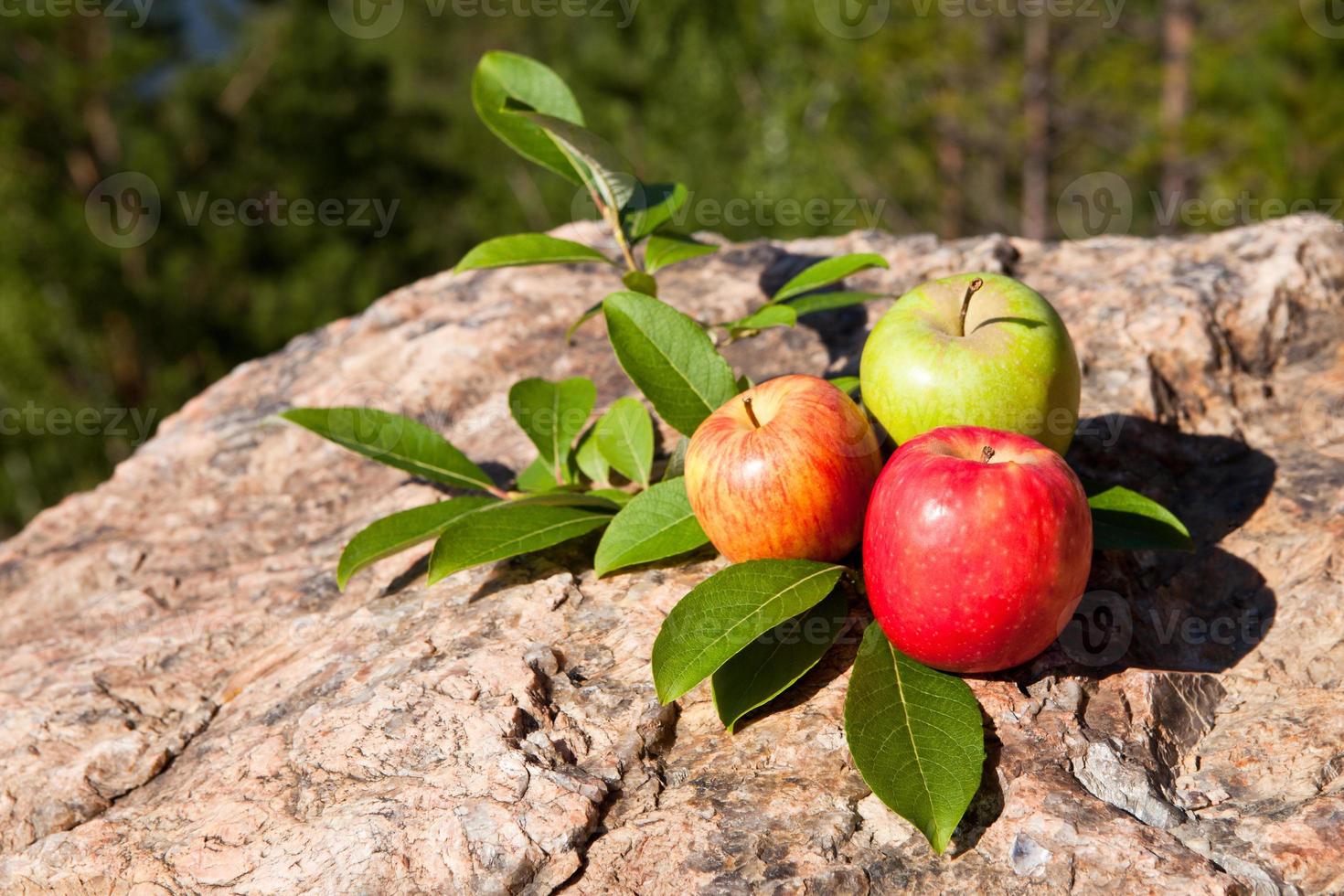 pommes fraîches sur grosse pierre photo