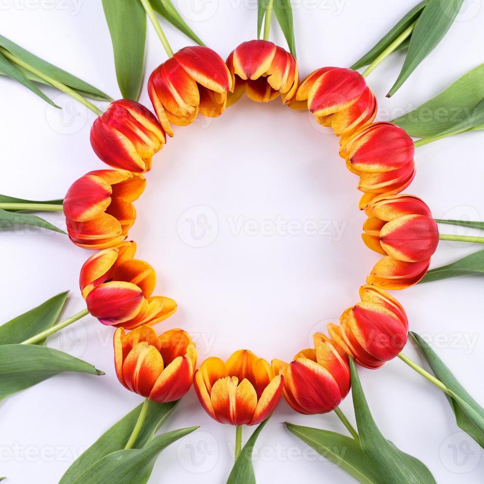 fond de fête des mères, bouquet de fleurs de tulipe - beau bouquet rouge, jaune isolé sur tableau blanc, vue de dessus, mise à plat, concept de conception de maquette. photo