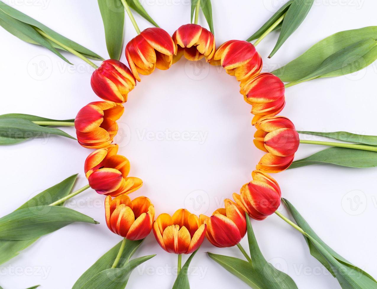fond de fête des mères, bouquet de fleurs de tulipe - beau bouquet rouge, jaune isolé sur tableau blanc, vue de dessus, mise à plat, concept de conception de maquette. photo