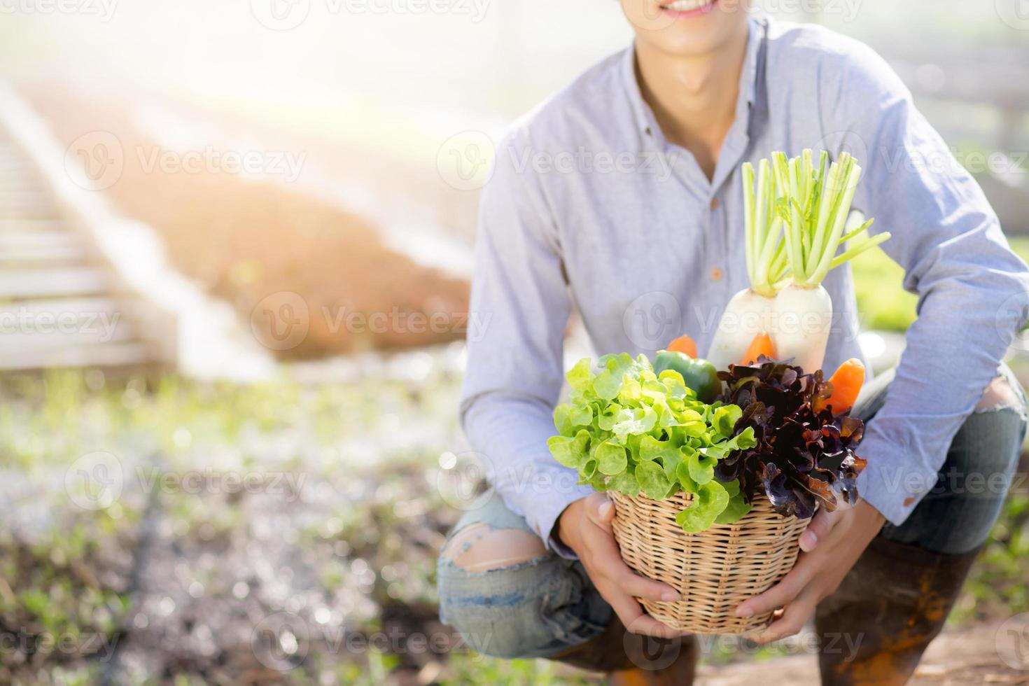 portrait jeune homme asiatique souriant récolter et ramasser le potager de légumes biologiques frais dans le panier de la ferme hydroponique, l'agriculture et la culture pour une alimentation saine et un concept d'entreprise. photo