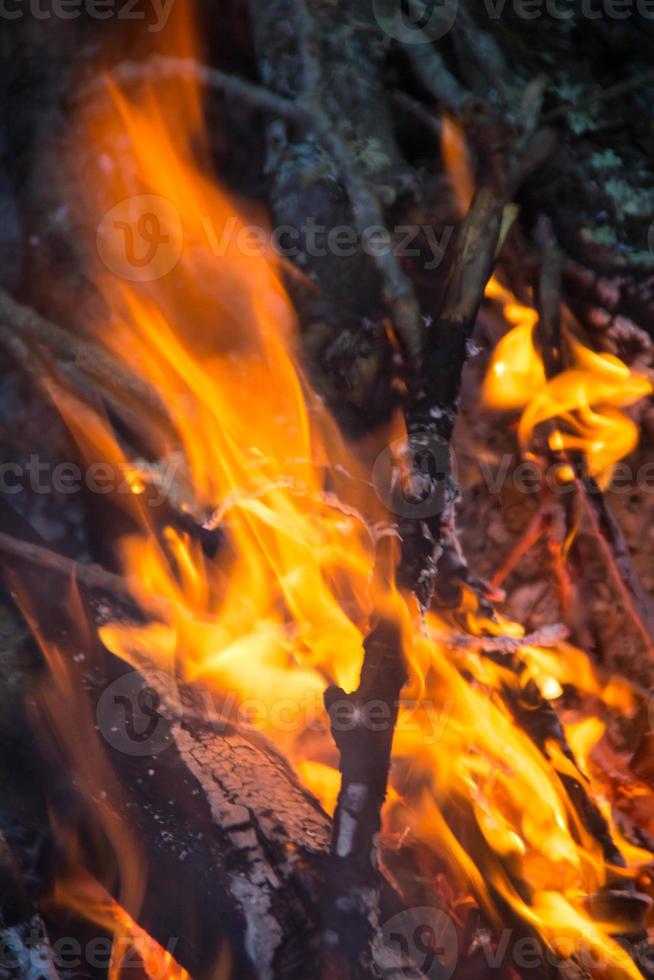 partie de feu de camp de nuit avec espace disponible photo