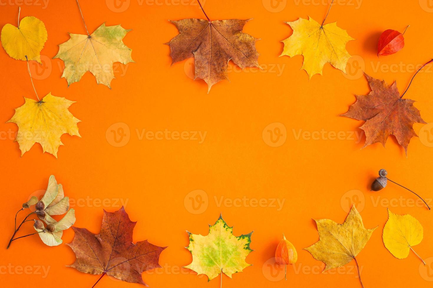 feuilles d'automne sèches comme modèle de cadre photo