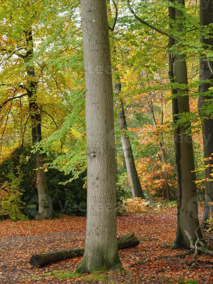 temps d'automne en westphalie photo