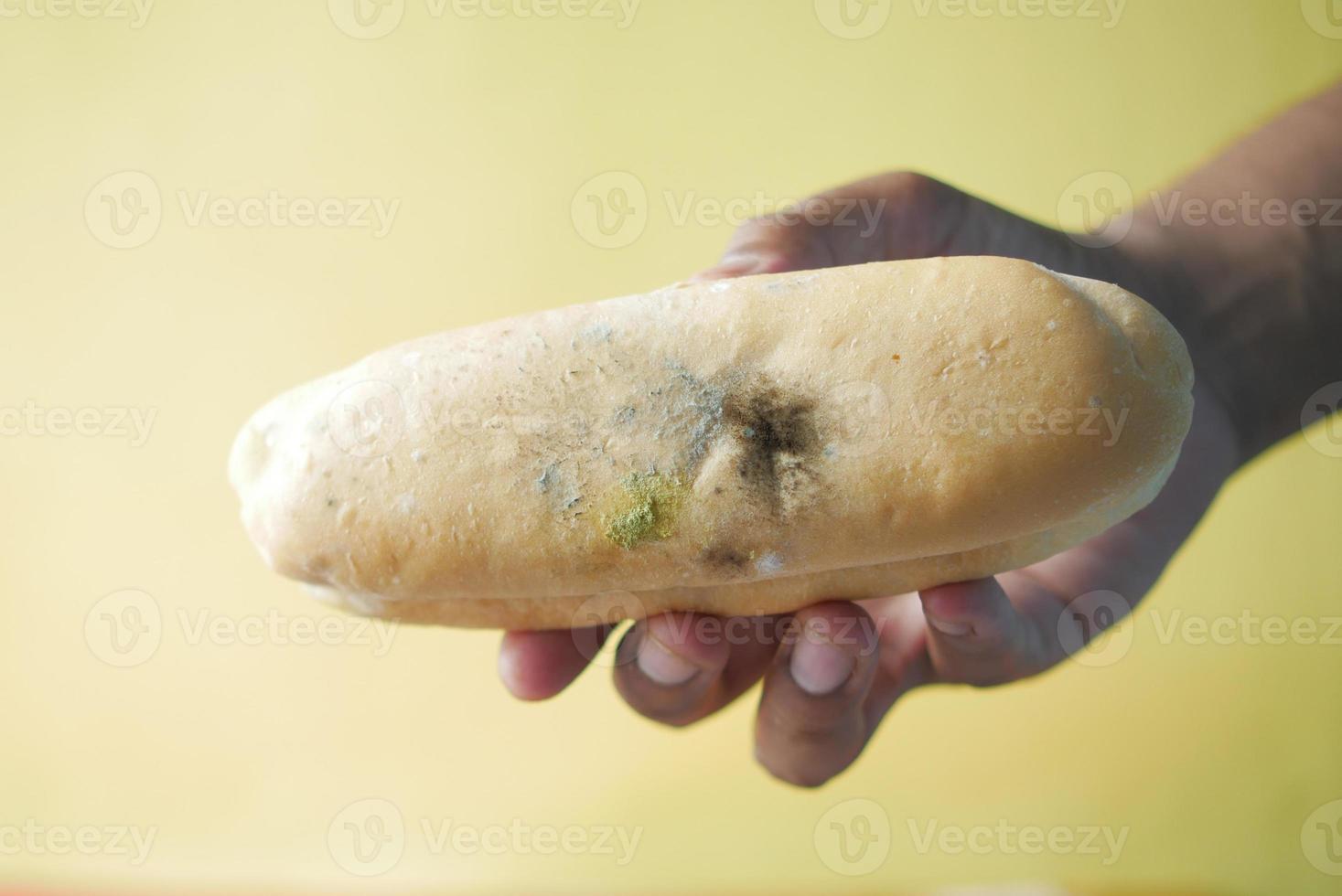 tenant du pain brun avec de la moisissure. photo