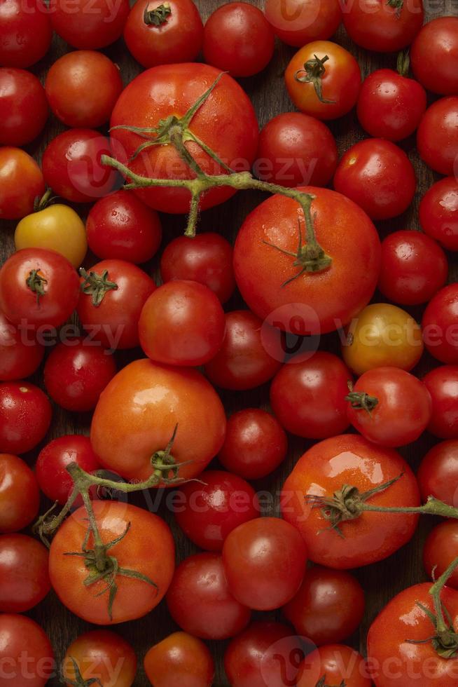 concept de légume de nombreuses couleurs de tomates rouges, écarlates ou jaunes, dont la forme varie de presque sphérique à ovale et allongée à piriforme photo