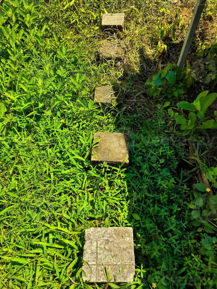 dallage rectangulaire en pavé uni pour allée forme un chemin dans l'herbe verte d'un parc ou d'un jardin, ce dallage en pavé uni est en ciment moulé. photo