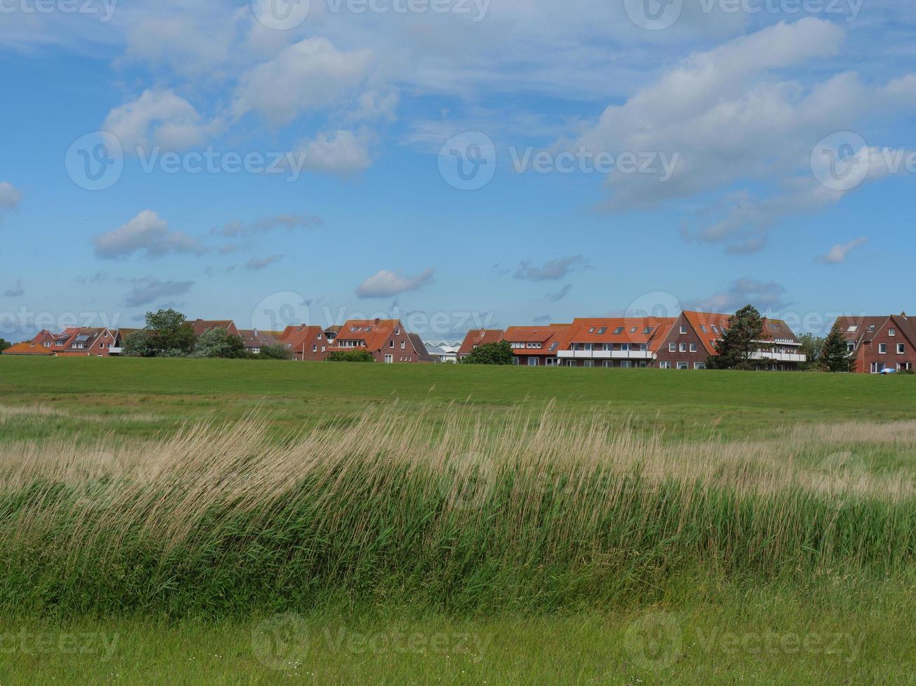 île de baltrum en mer du nord photo