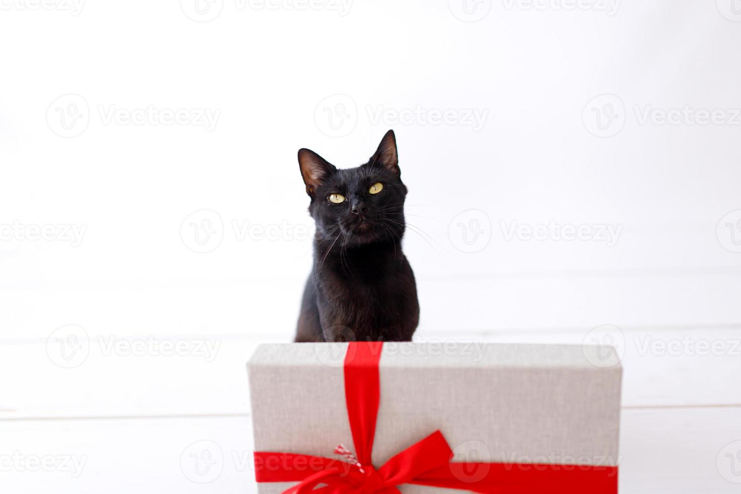 chat noir de noël avec cadeau de noël. photo