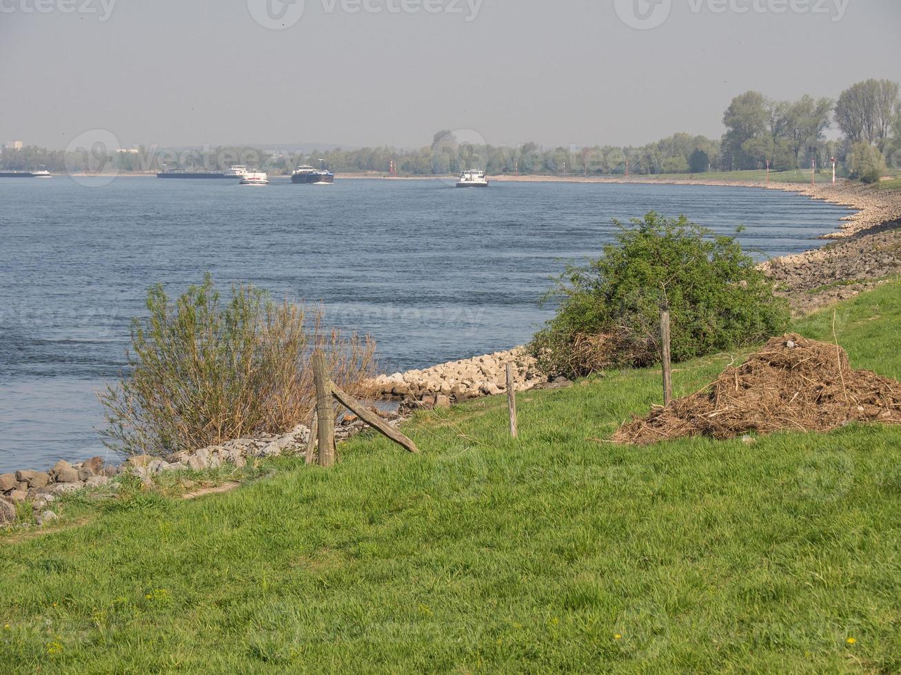 le rhin en allemagne photo