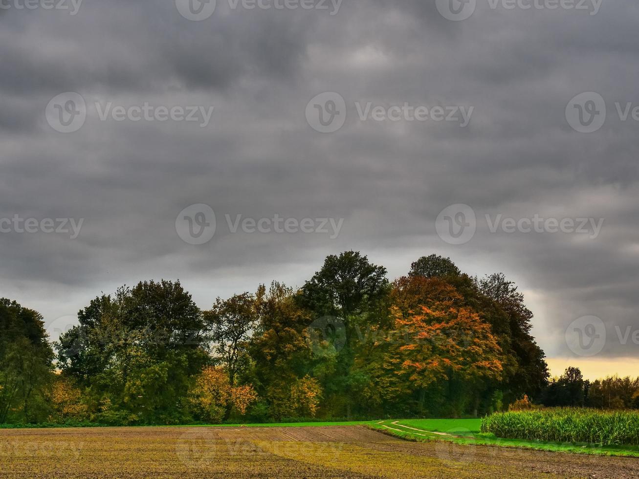 temps d'automne en westphalie photo