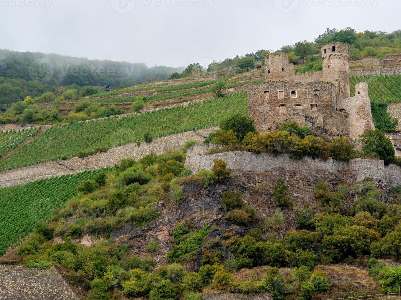 le rhin près de bingen photo