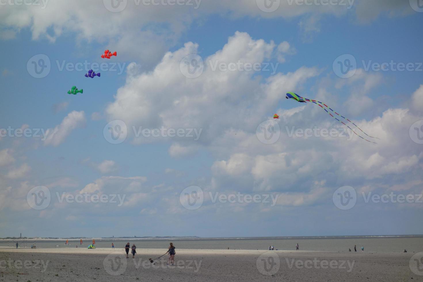 l'île de baltrum photo