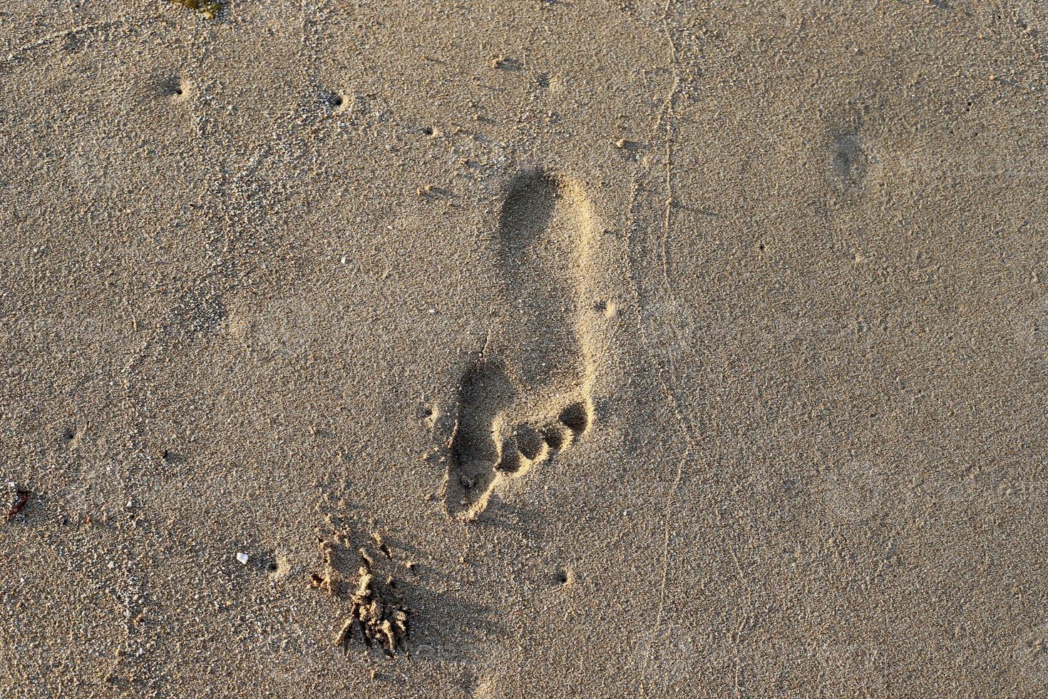 empreintes de pas dans le sable sur les rives de la mer méditerranée. photo