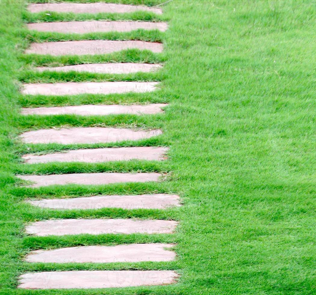 passerelle en pierre sur l'herbe verte dans le jardin photo