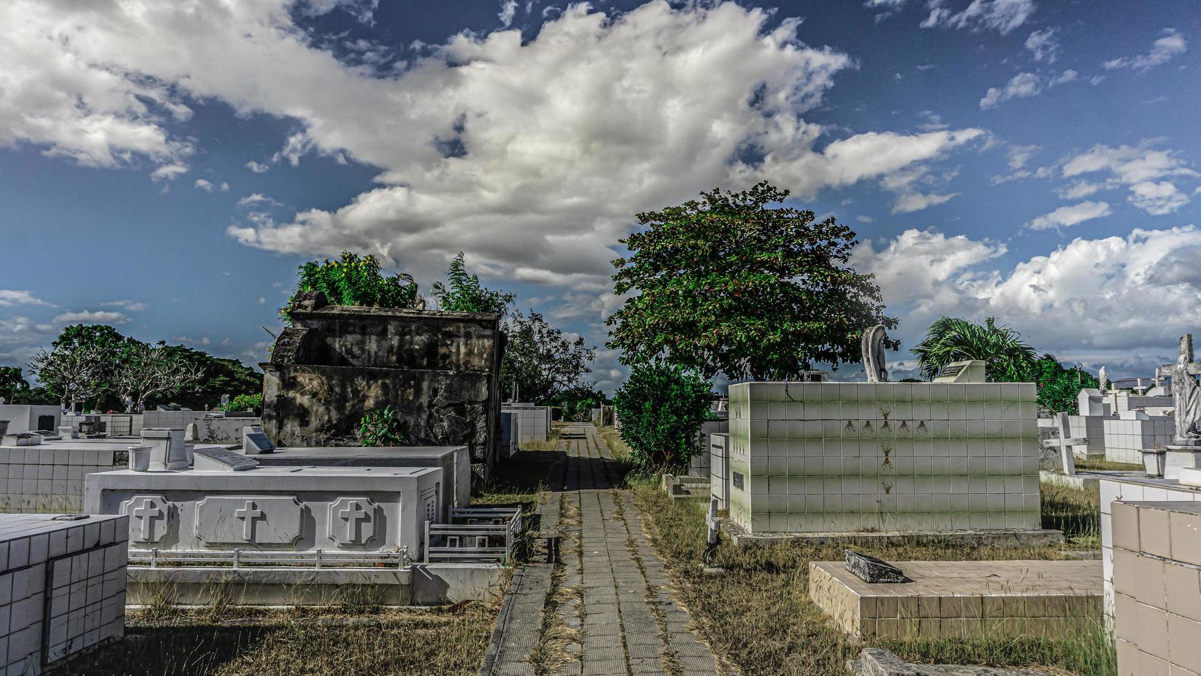 libéria, costa rica, 2022 - chemin vers le passé photo