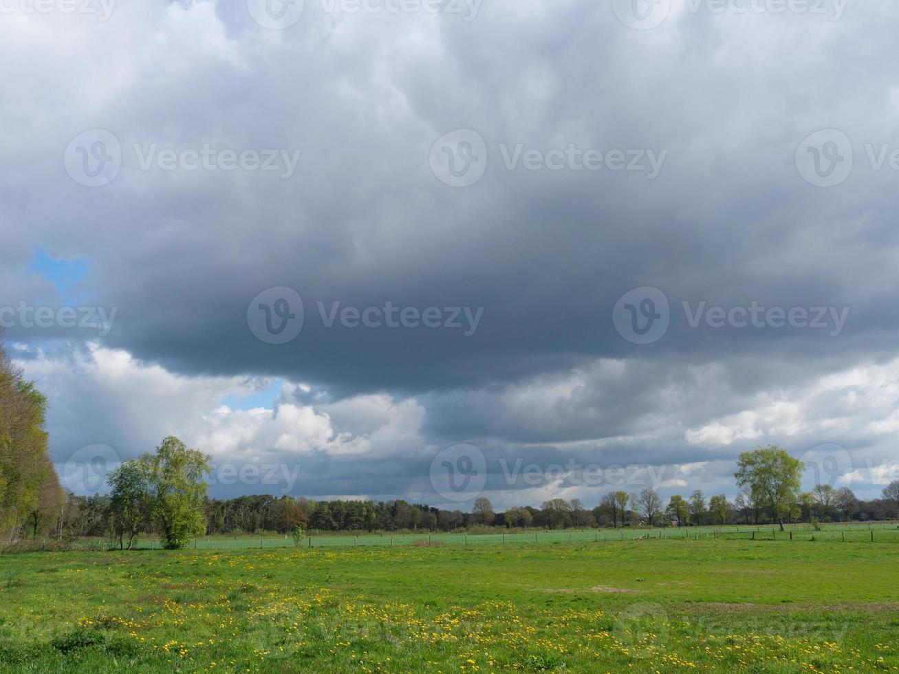 randonnée dans le dingdener heider photo