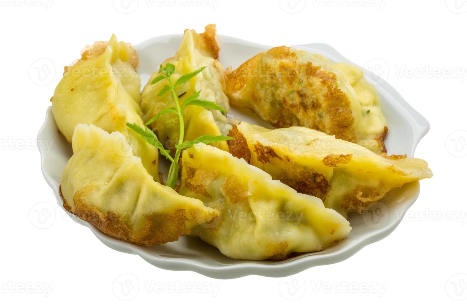 boulettes japonaises - gyoza photo