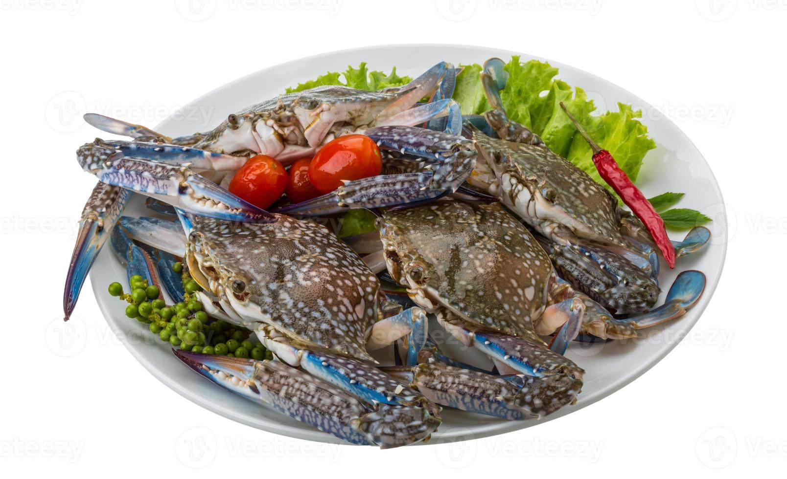 crabe bleu cru sur la plaque et fond blanc photo