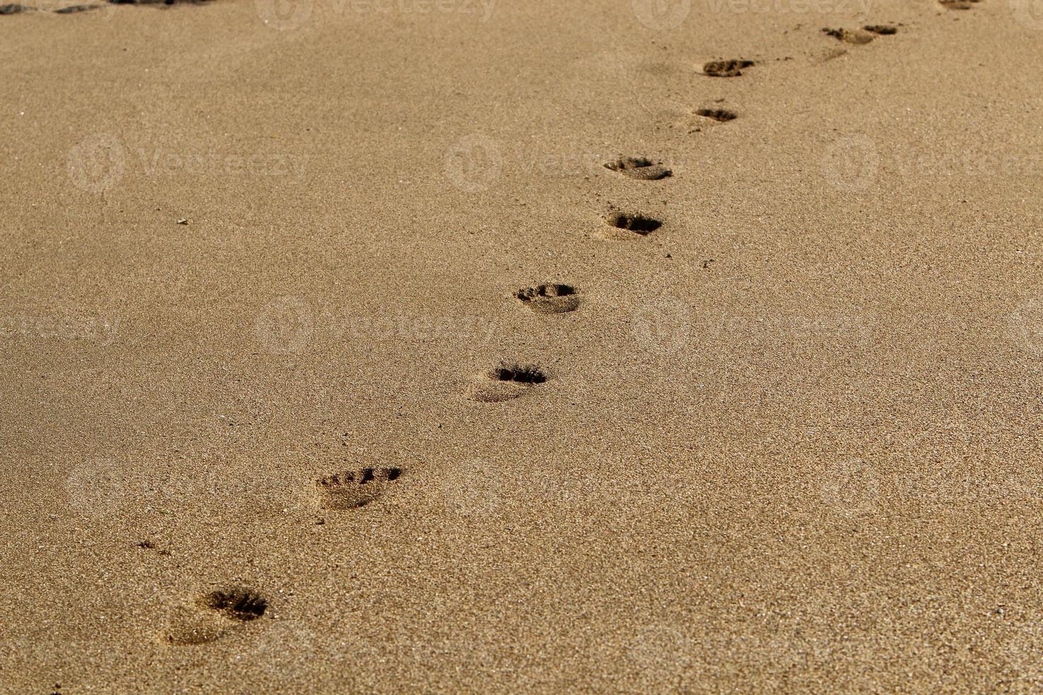 empreintes de pas dans le sable sur les rives de la mer méditerranée. photo