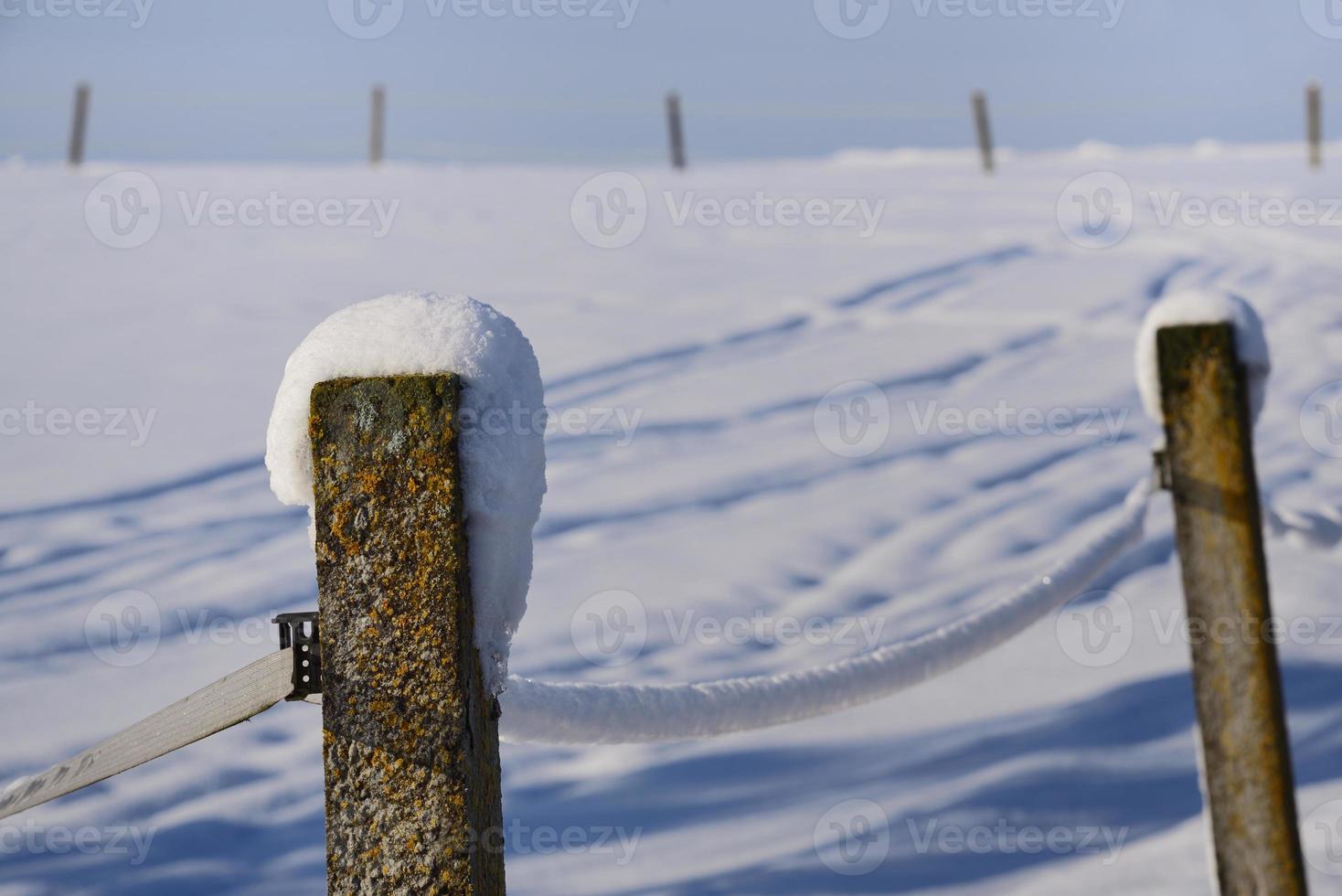 gros plan sur des poteaux de clôture en pierre patinés recouverts de lichen et recouverts de neige dans un paysage d'hiver photo