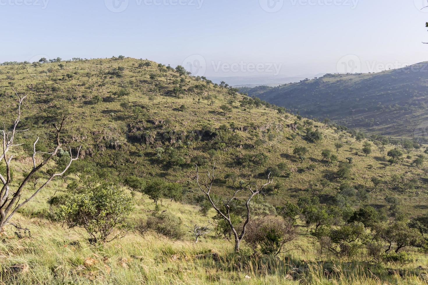 paysage avec collines et arbres photo