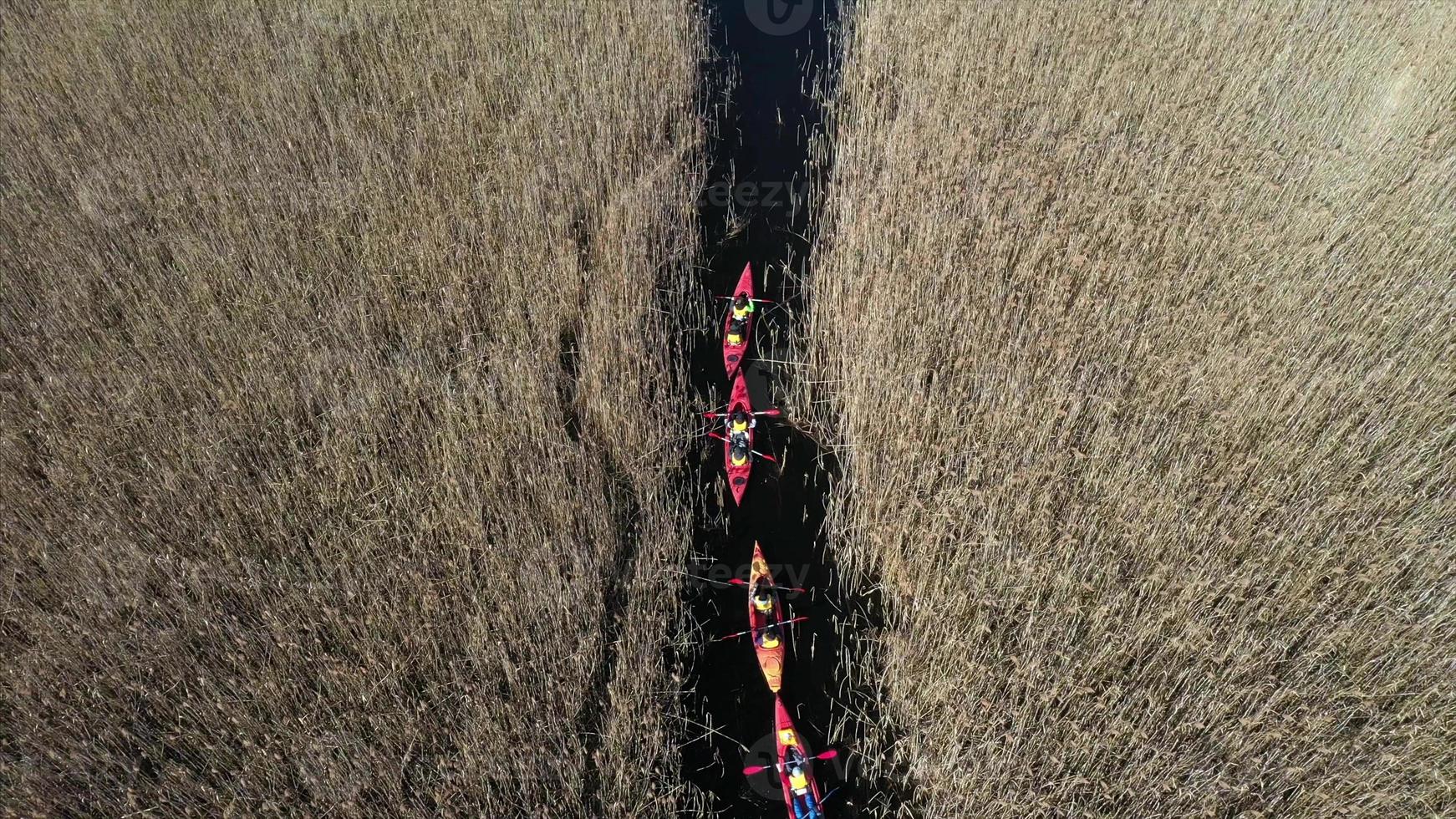 groupe de personnes en kayak parmi les roseaux sur la rivière d'automne. photo
