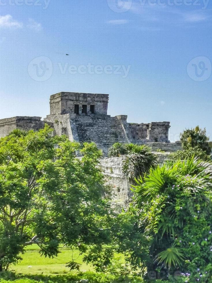 ruines antiques de tulum site maya temple pyramides artefacts paysage marin mexique. photo