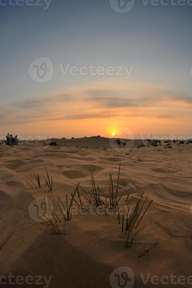 beau coucher de soleil dans le désert photo