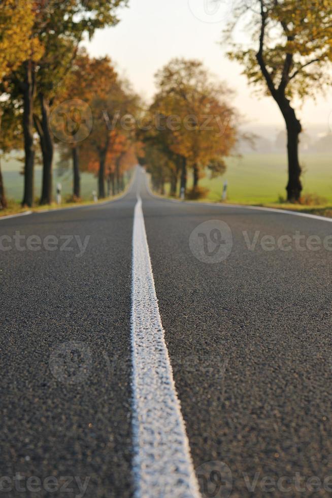 vue sur la route de campagne photo