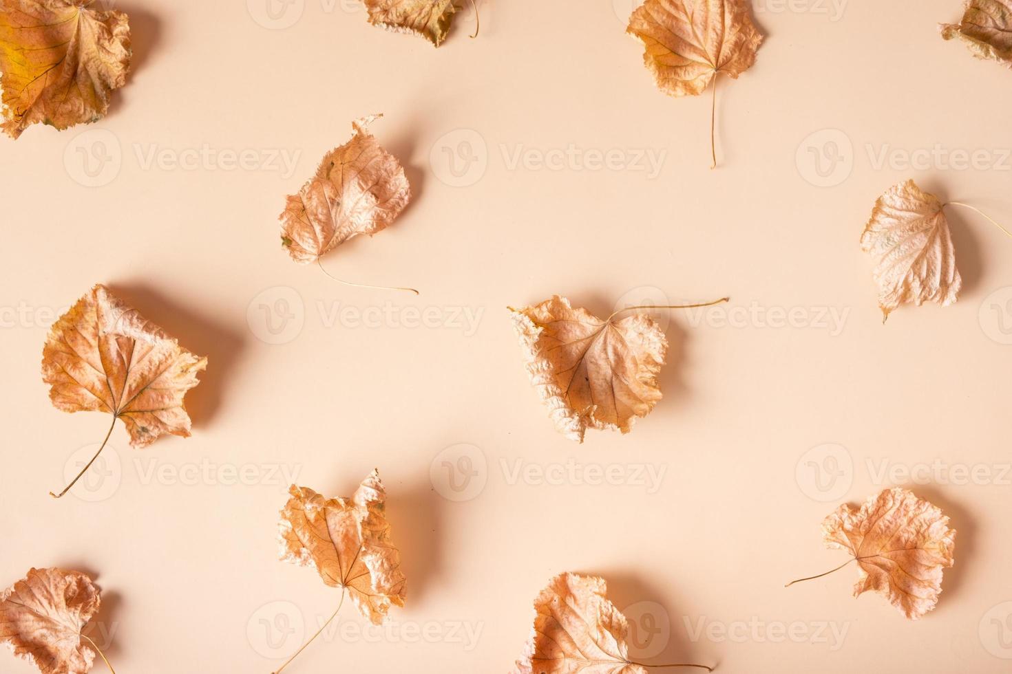 compositions d'automne. motif composé de feuilles séchées sur fond beige pastel. automne, concept d'automne. mise à plat, vue de dessus photo