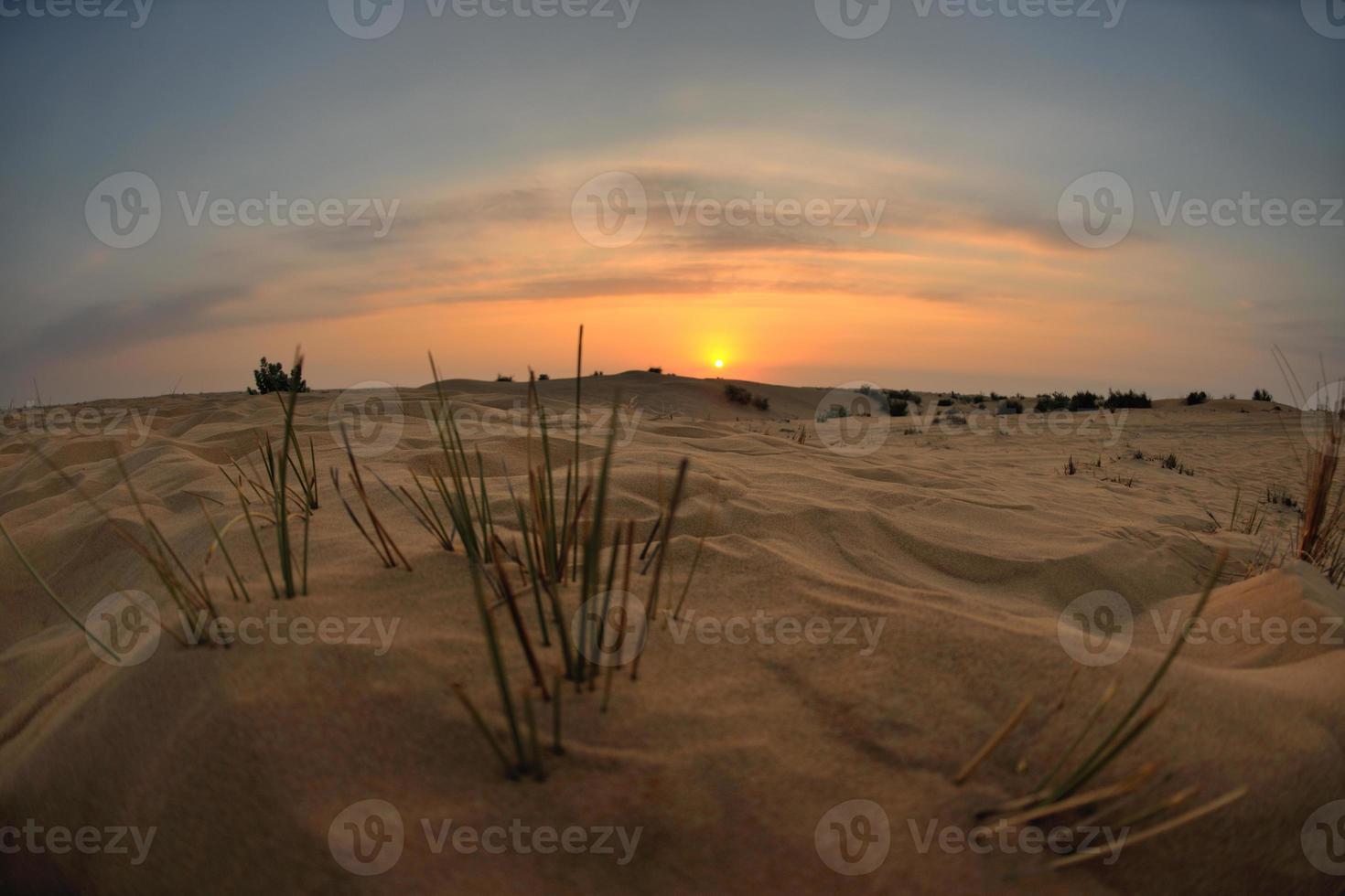 beau coucher de soleil dans le désert photo