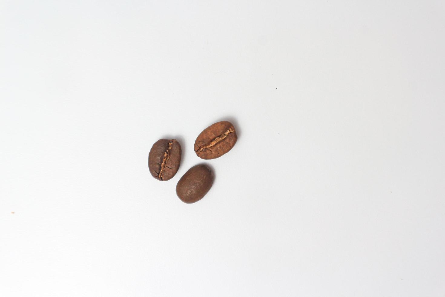 grains de café. isolé sur fond blanc. photo