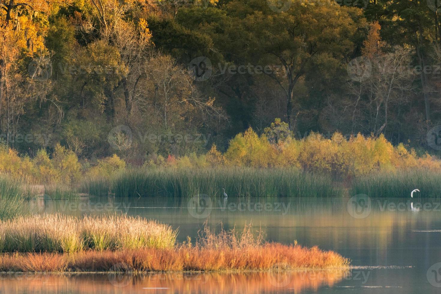 image horizontale d'un étang du Texas en automne. photo