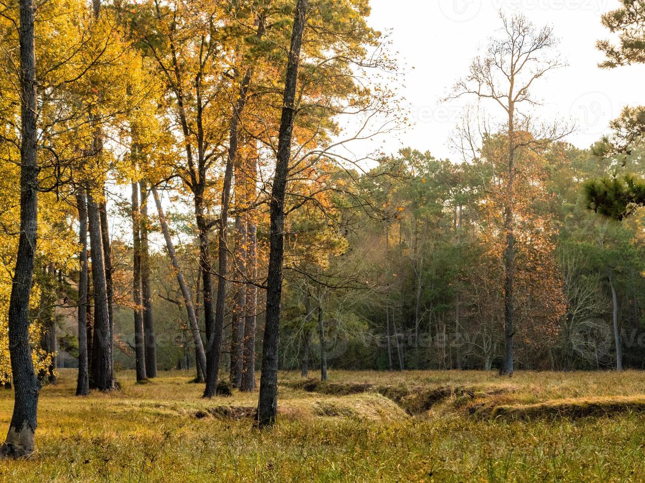 un ruisseau traversant un paysage à la fin de l'automne. photo