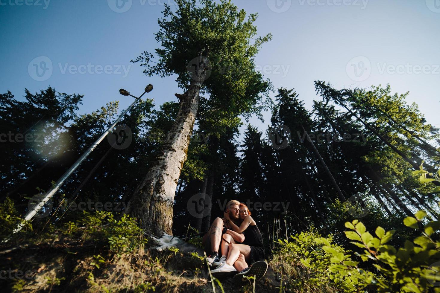 beau couple assis dans une forêt près de l'arbre photo