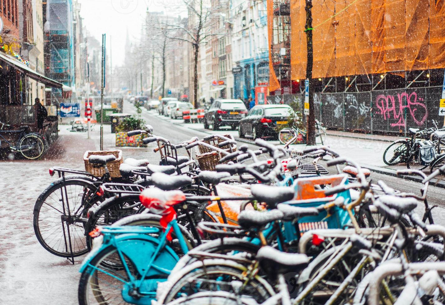 première neige de l'année photo