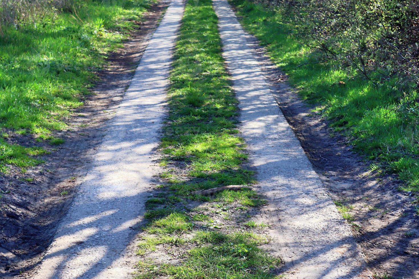 belle vue sur les routes de campagne avec champs et arbres en europe du nord photo