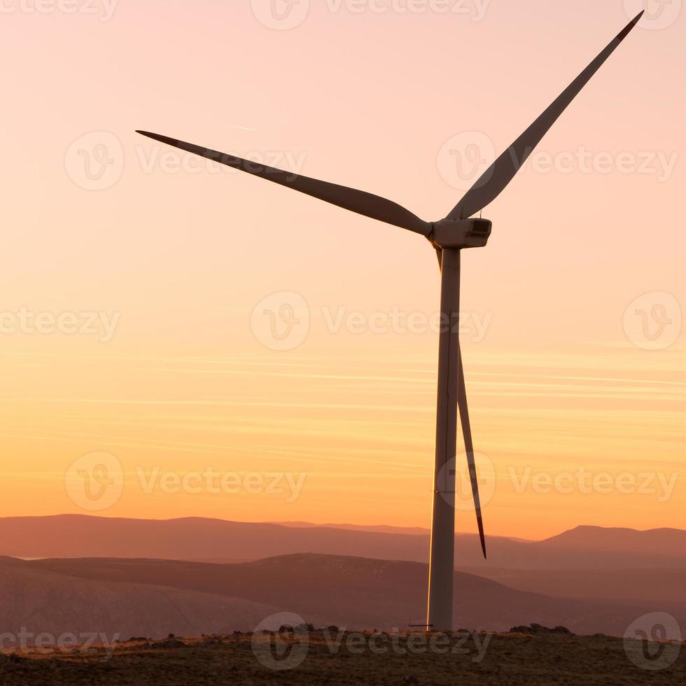éoliennes en croatie photo