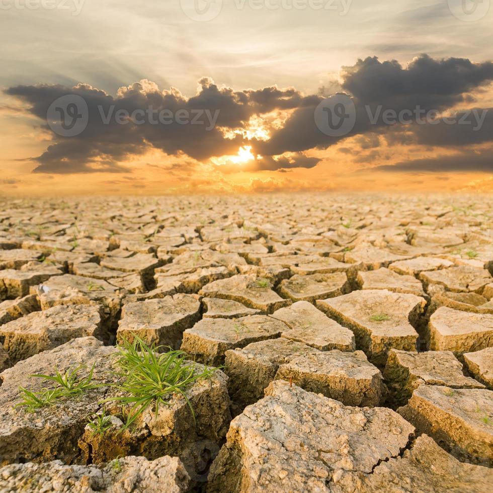 terre de sécheresse sous le coucher du soleil du soir photo