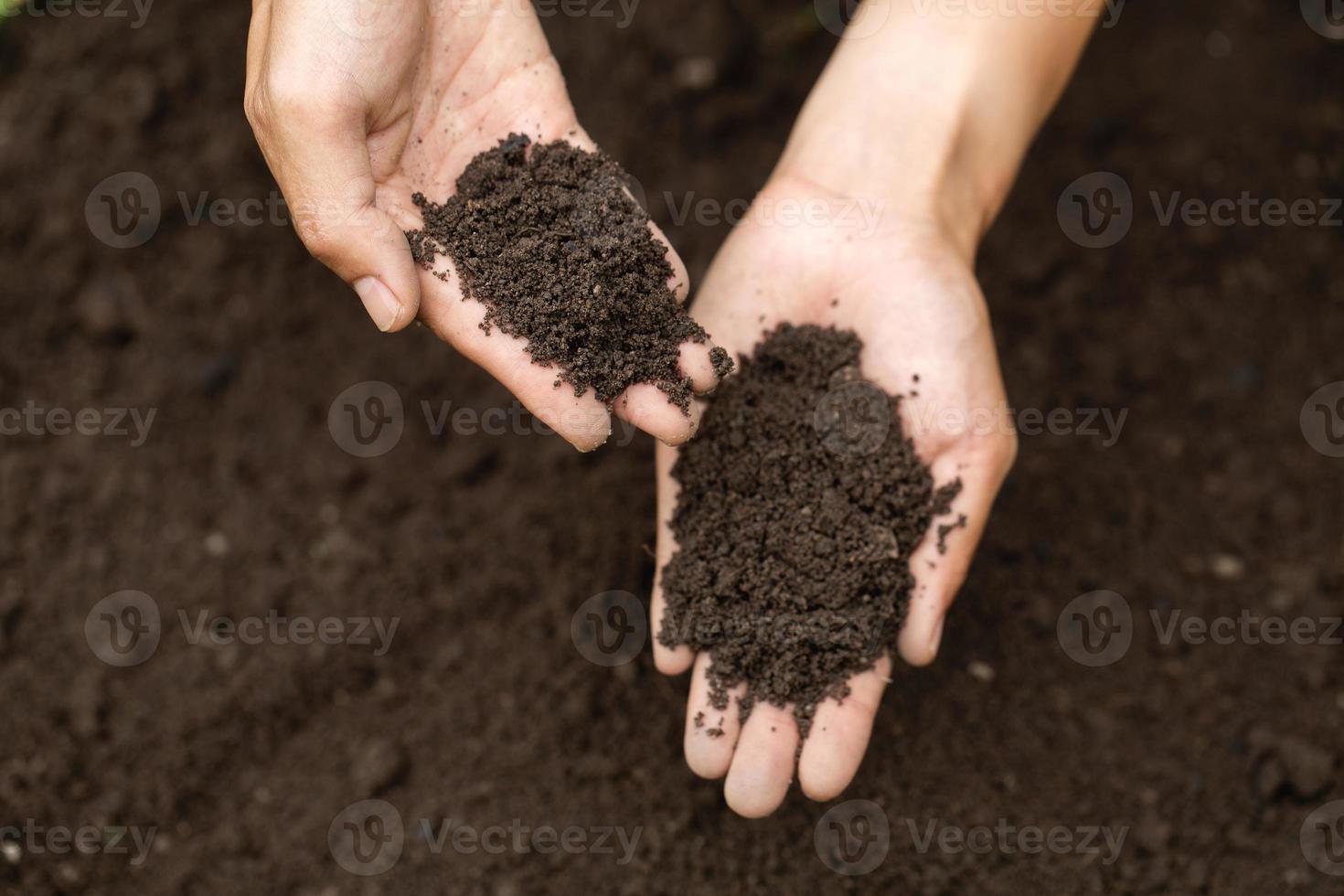 vue de dessus. fermier tenant le sol dans les mains. les chercheurs vérifient la qualité du sol. mise en page du concept d'agriculture, de jardinage ou d'écologie, espace de copie. photo