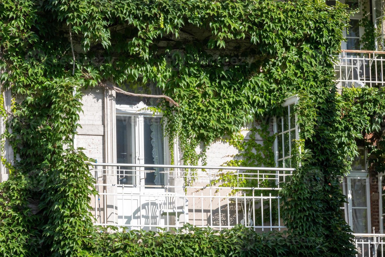 vieille maison dans le jardin photo