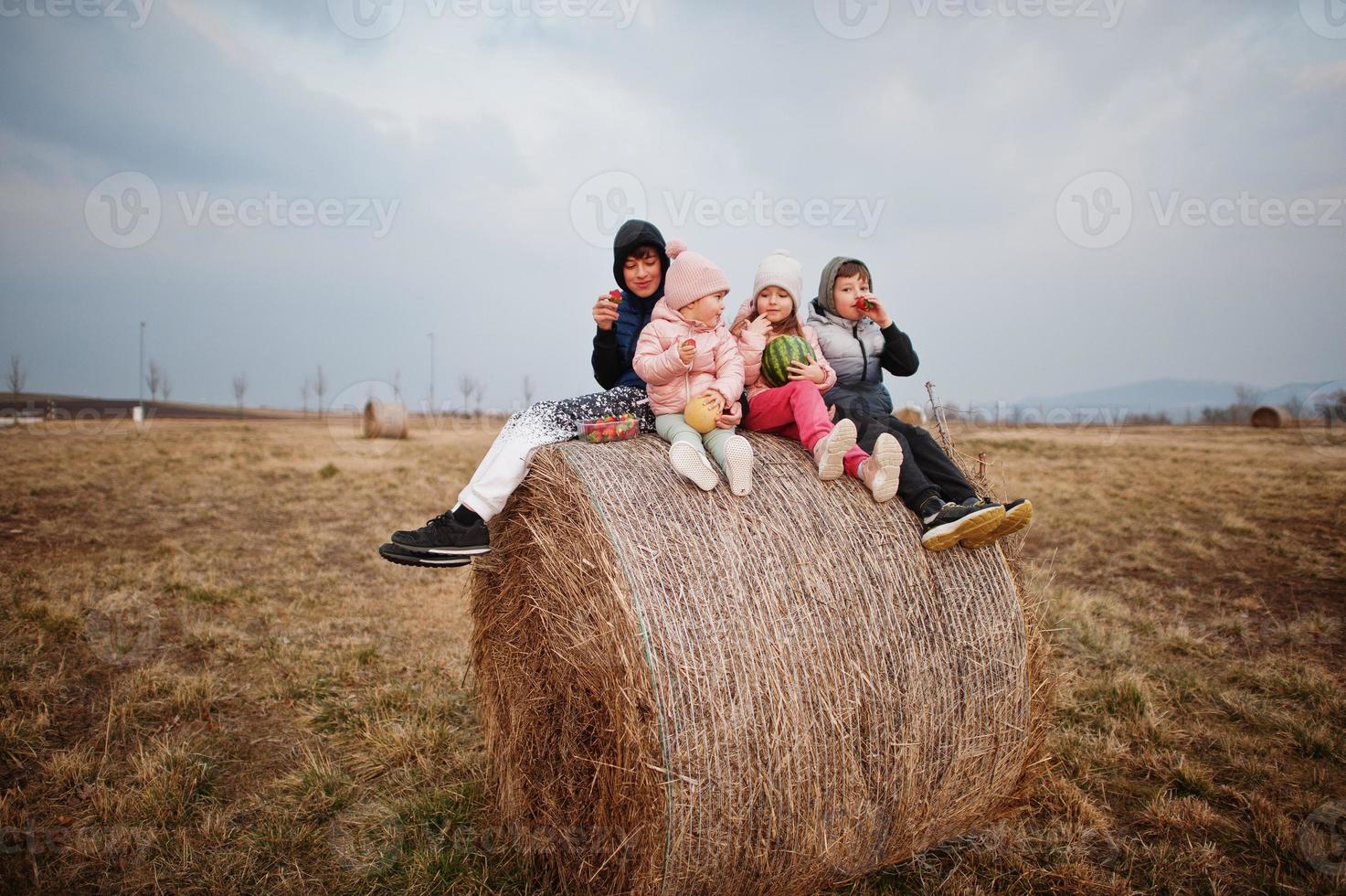 quatre enfants avec des fruits dans les mains assis sur haycock au champ. photo