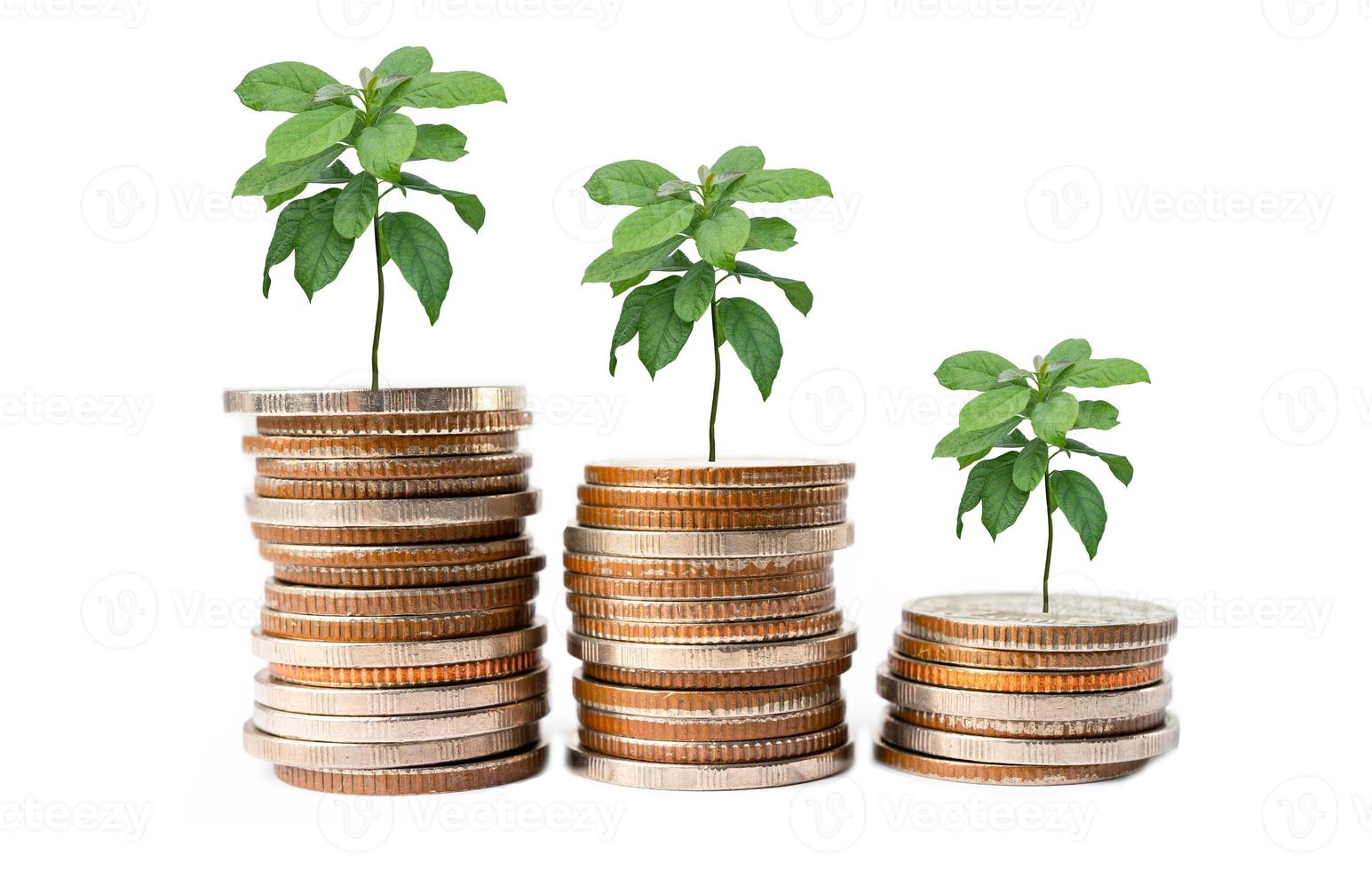 économiser de l'argent arbre qui pousse sur des pièces de monnaie dans une bouteille en plastique, concept d'investissement dans le financement des entreprises. photo