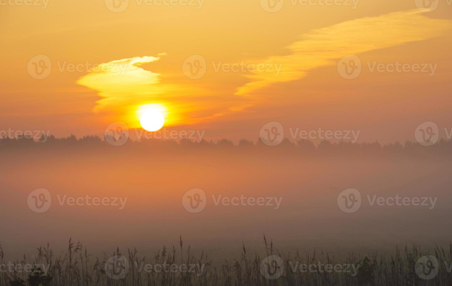lever du soleil sur un paysage brumeux au printemps photo