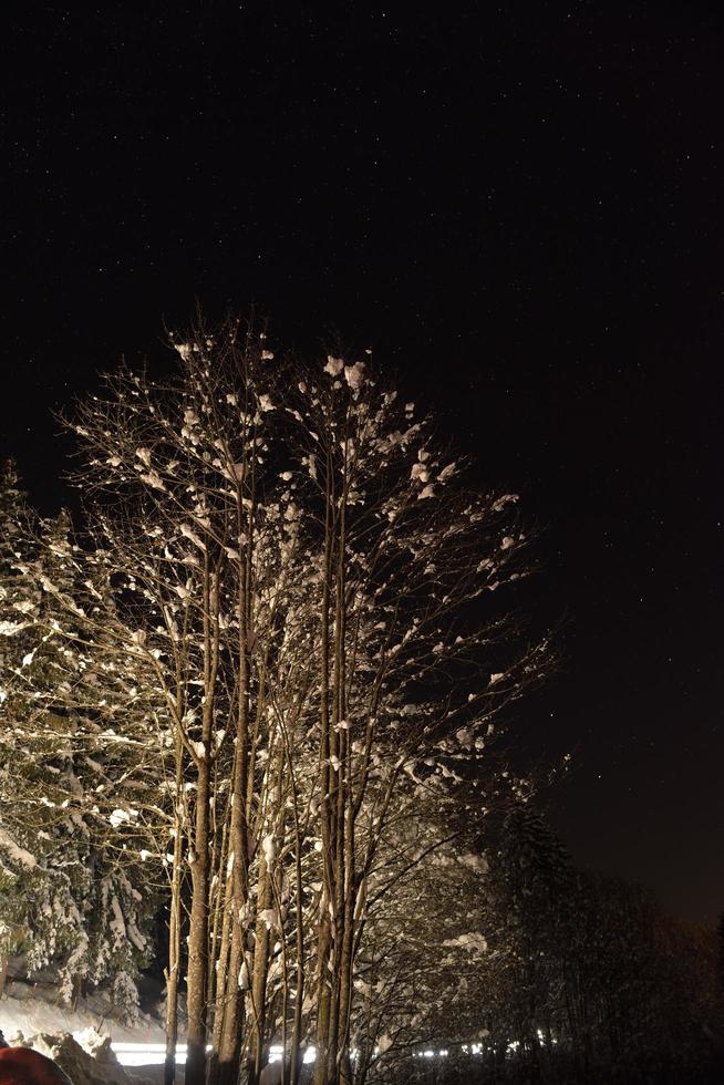 paysage de montagne d'hiver photo