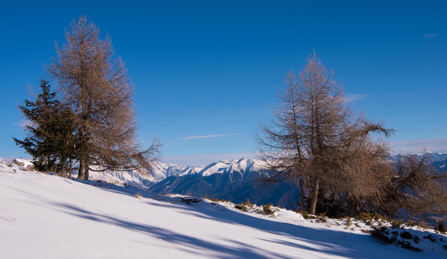 paysage d'hiver photo