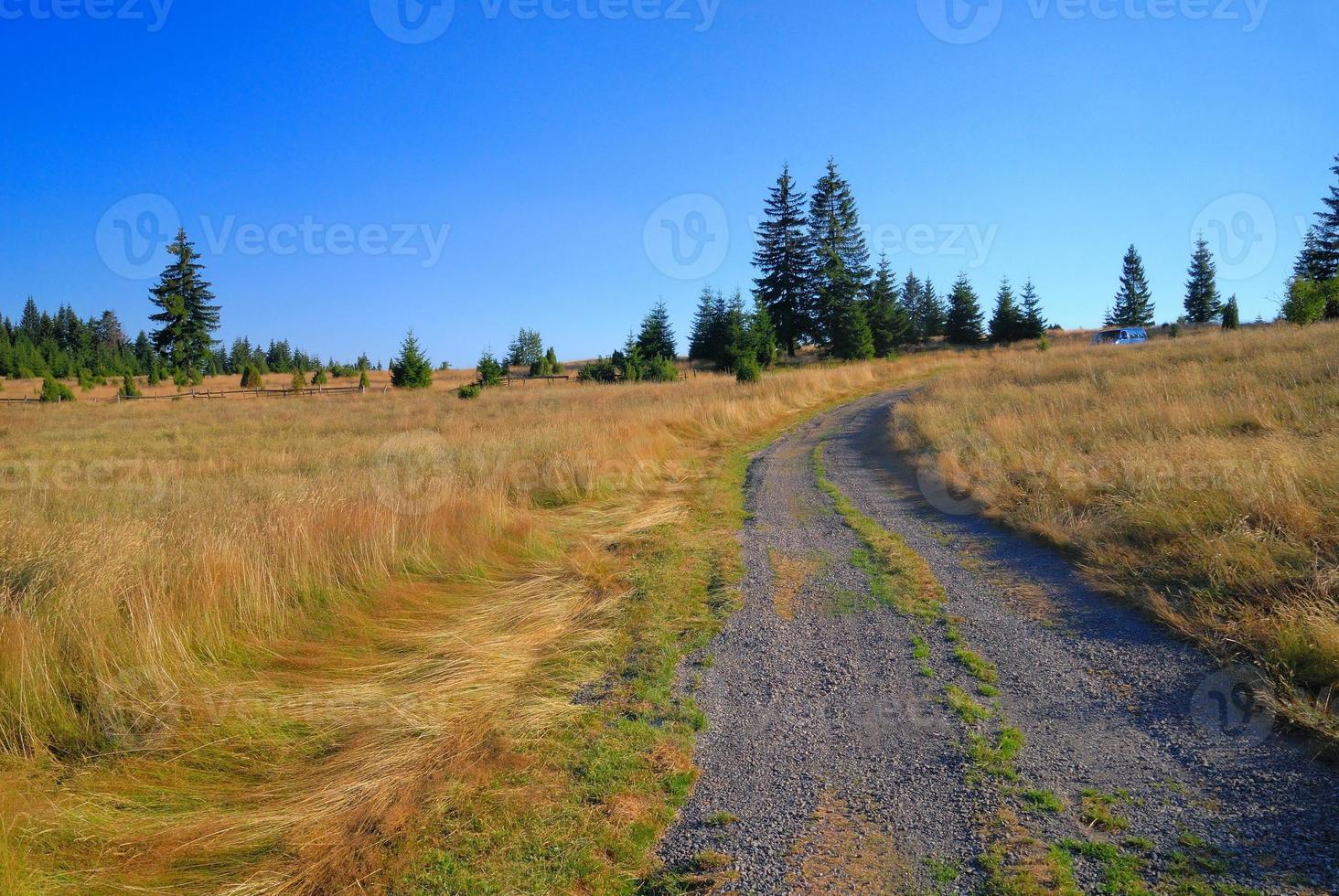 vue sur la route du paysage photo