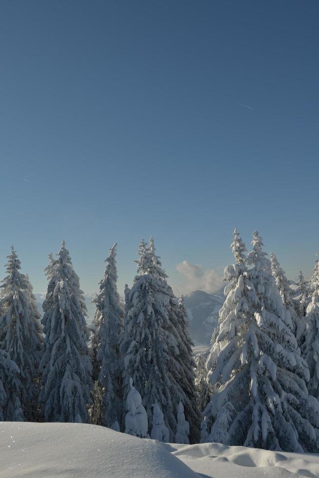 paysage de montagne d'hiver photo