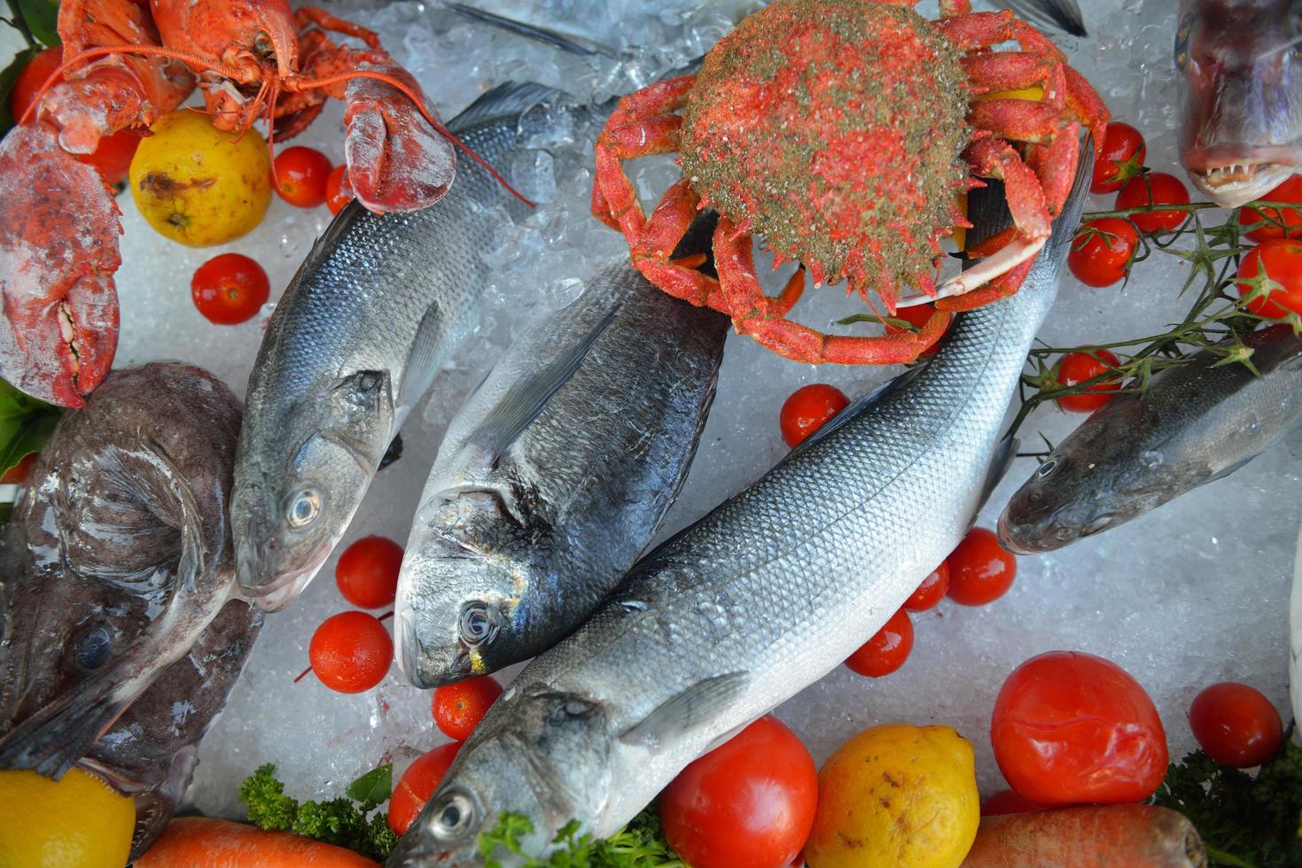 fruits de mer sur glace photo